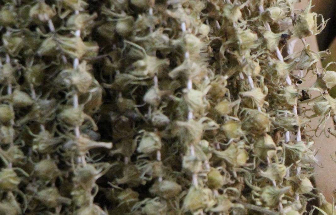 Pazarda rekor fiyat! Konya'nın gözde lezzeti altınla yarışıyor 7